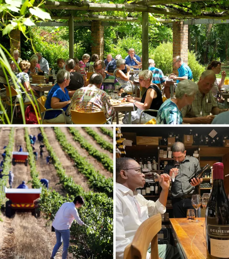 Stellenbosch Wine Farms Delheim