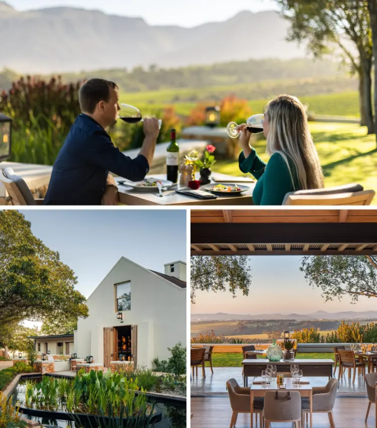 Stellenbosch Wine Farms Ernie Els