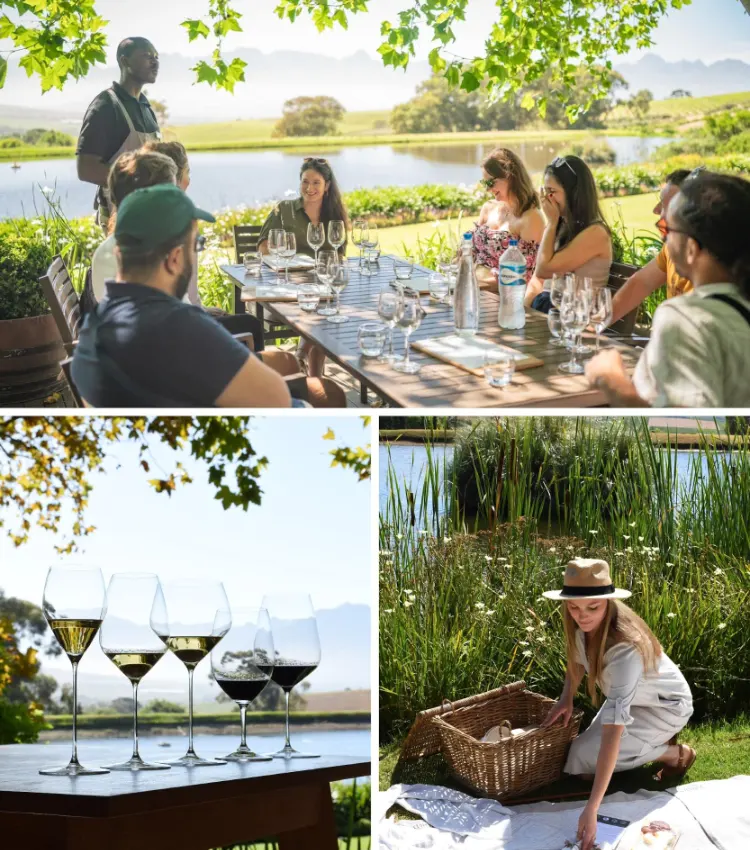 Stellenbosch Wine Farms Jordan Wine Estate