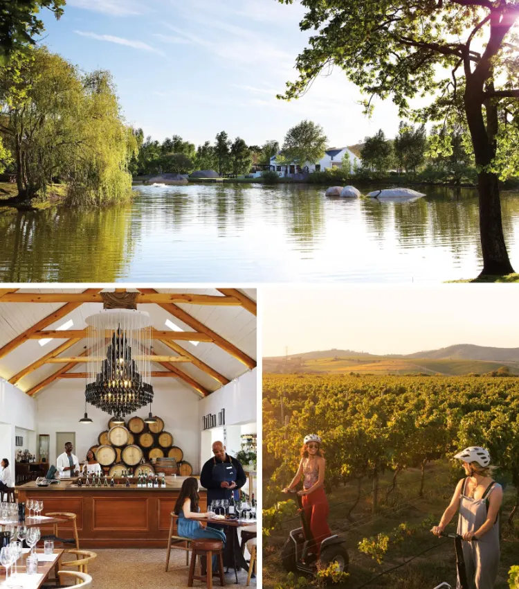 Stellenbosch Wine Farms Spier