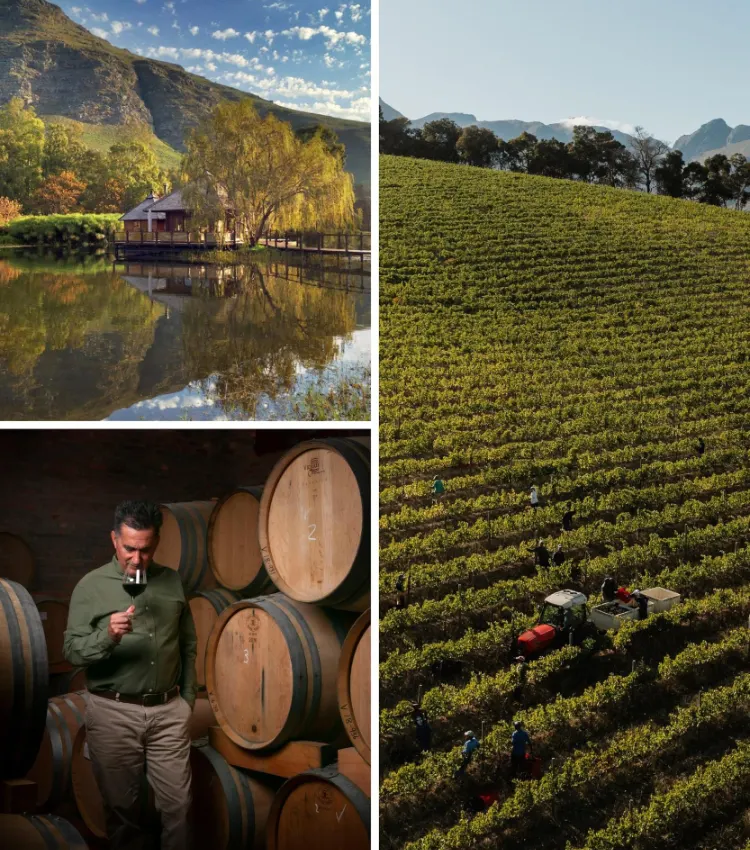 Stellenbosch Wine Farms Starke-Conde