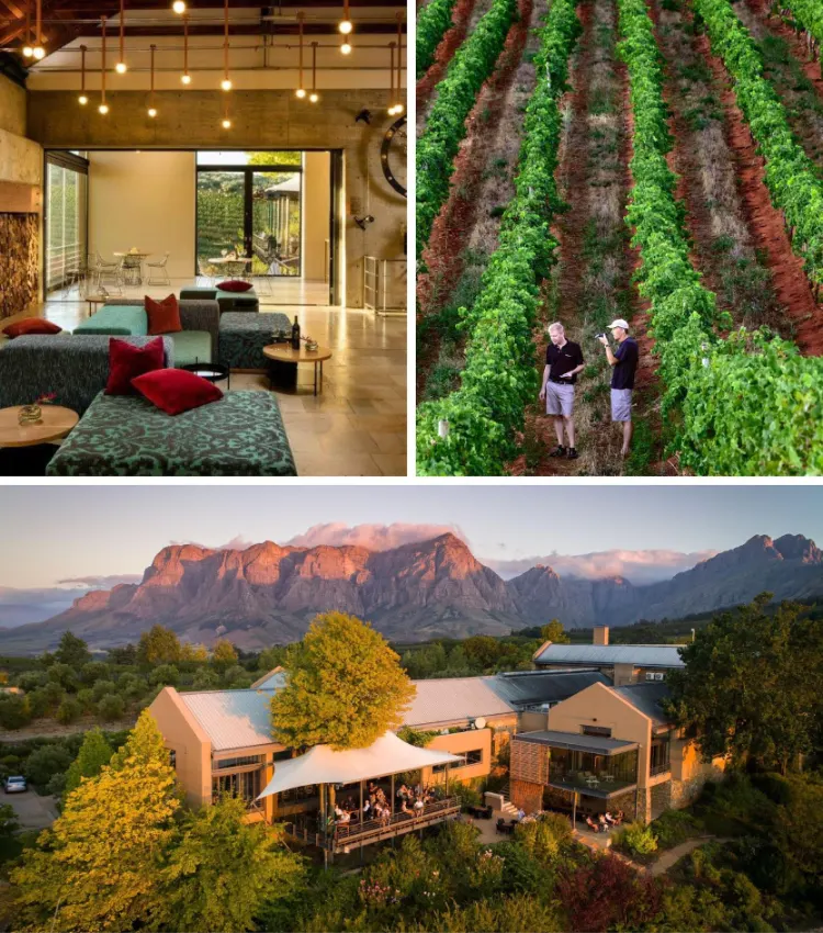 Stellenbosch Wine Farms Tokara