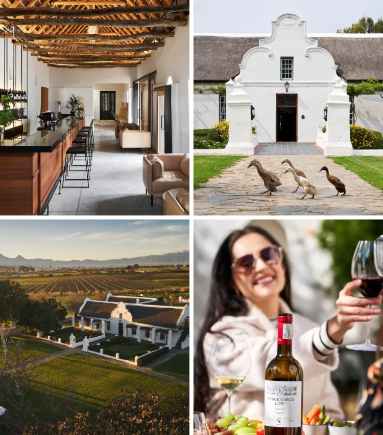 Stellenbosch Wine Farms Vergenoegd Low