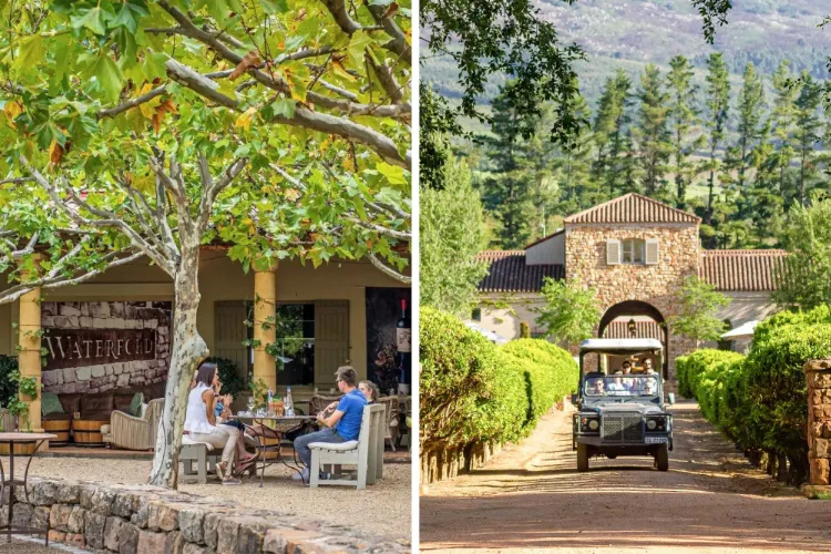 Stellenbosch Wine Farms Waterford Estate
