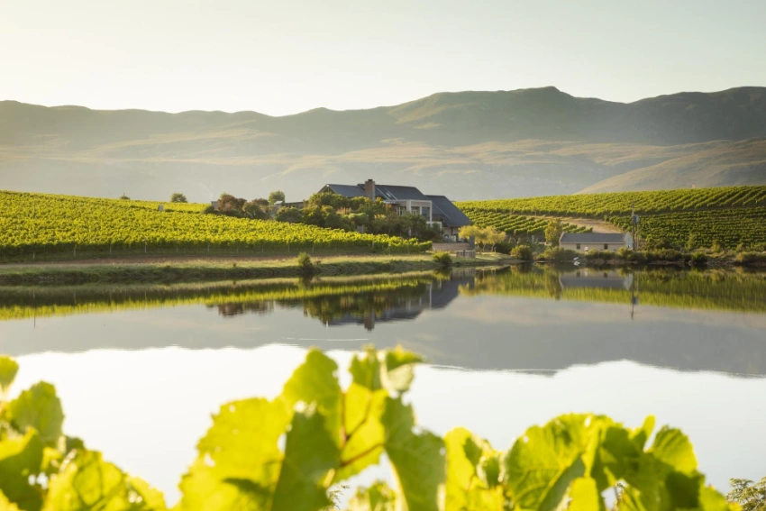 Hermanus Restaurants Creation Wines Tasting Room