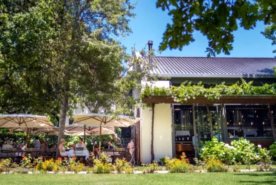 Rust en Vrede Tasting Room