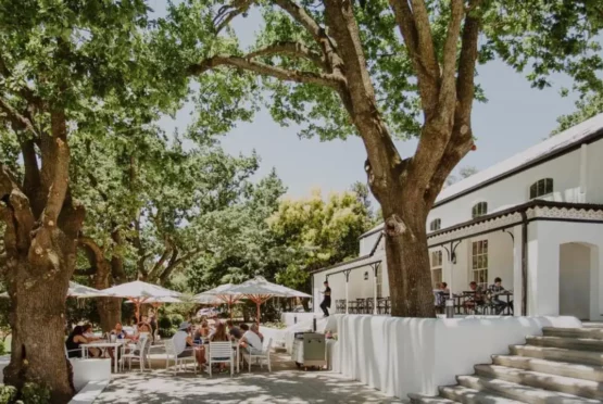 Rhebokskloof Wine Tasting