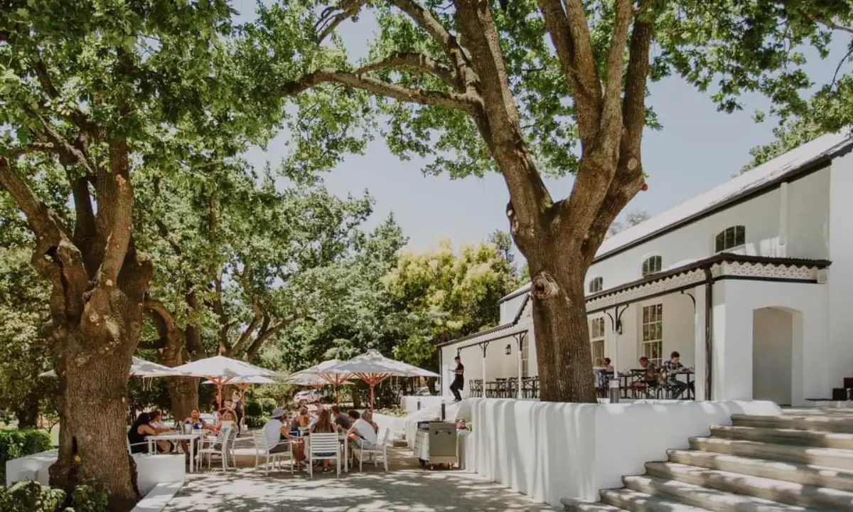 Rhebokskloof Wine Tasting