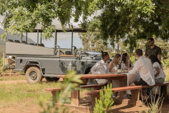 Stellenbosch Wine Tasting
