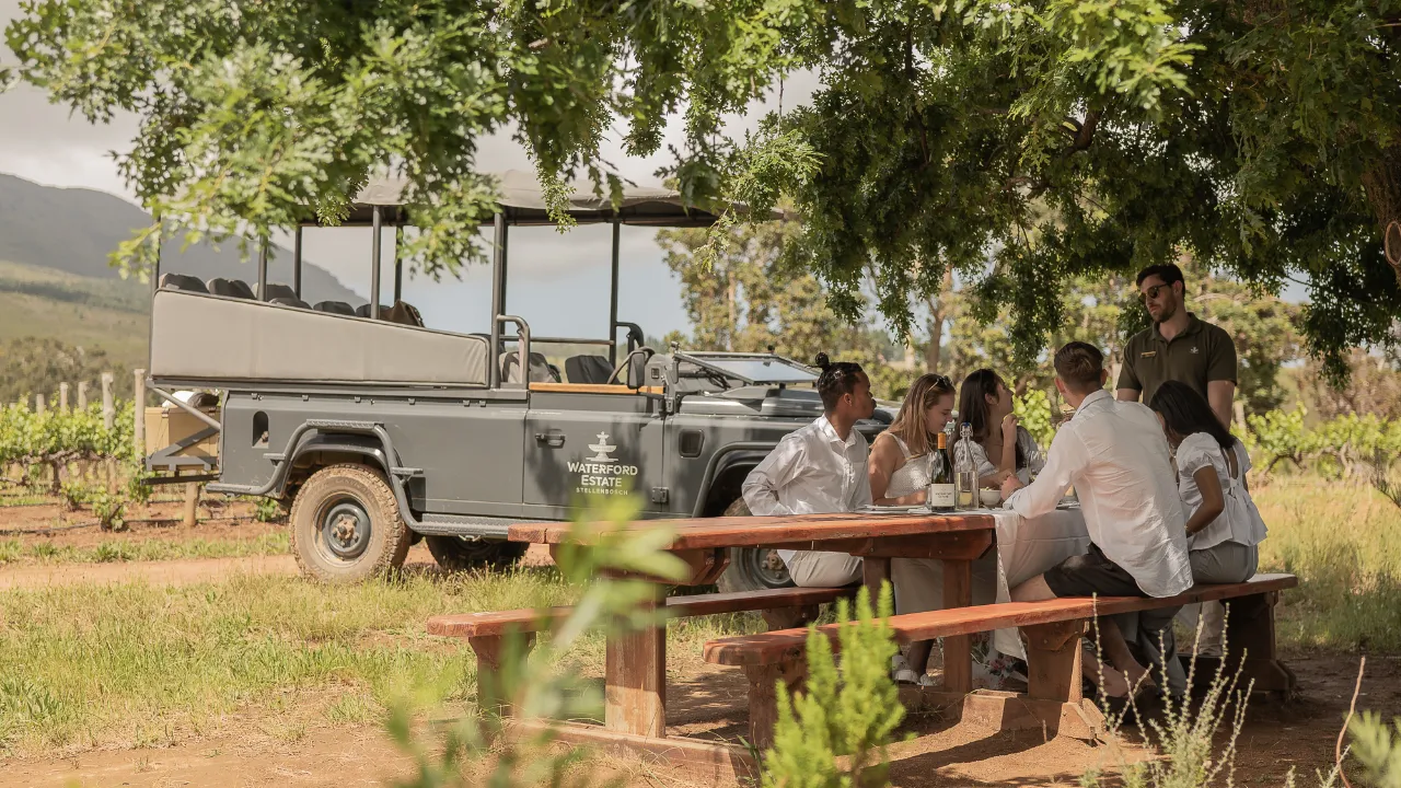 Stellenbosch Wine Tasting