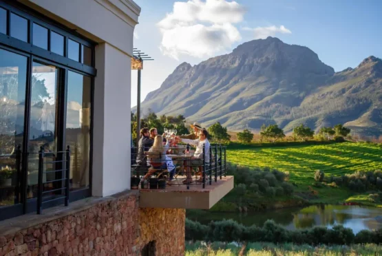 Stellenbosch Wine Tasting