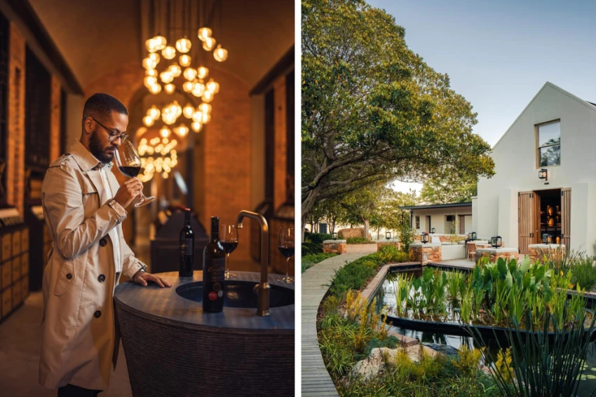 Stellenbosch Wine Tasting Ernie Els
