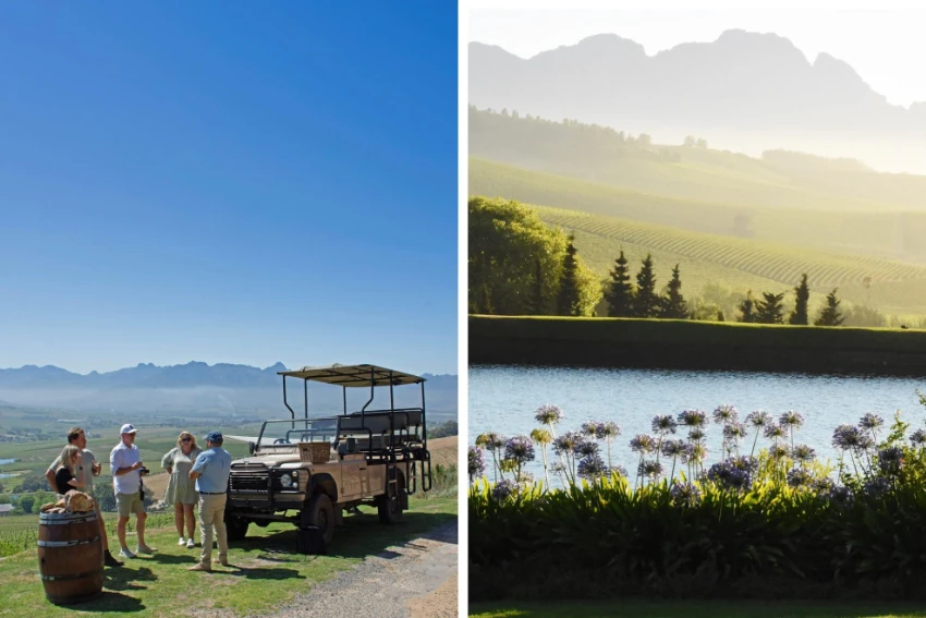 Stellenbosch Wine Tasting Jordan