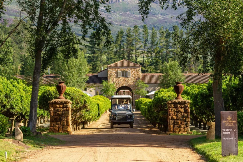 Stellenbosch Wine Tasting Waterford