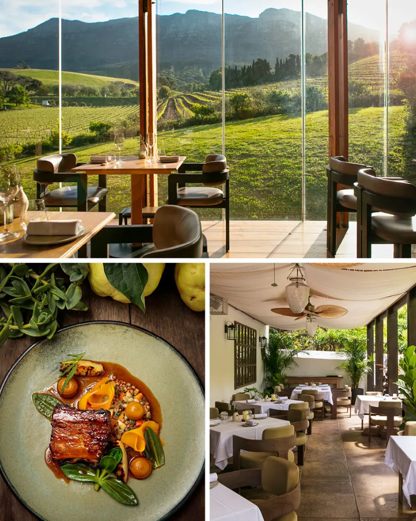 Wine Farm Restaurants Beyond