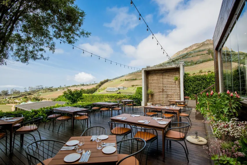 Wine Farm Restaurants Chefs Warehouse Beau Constantia