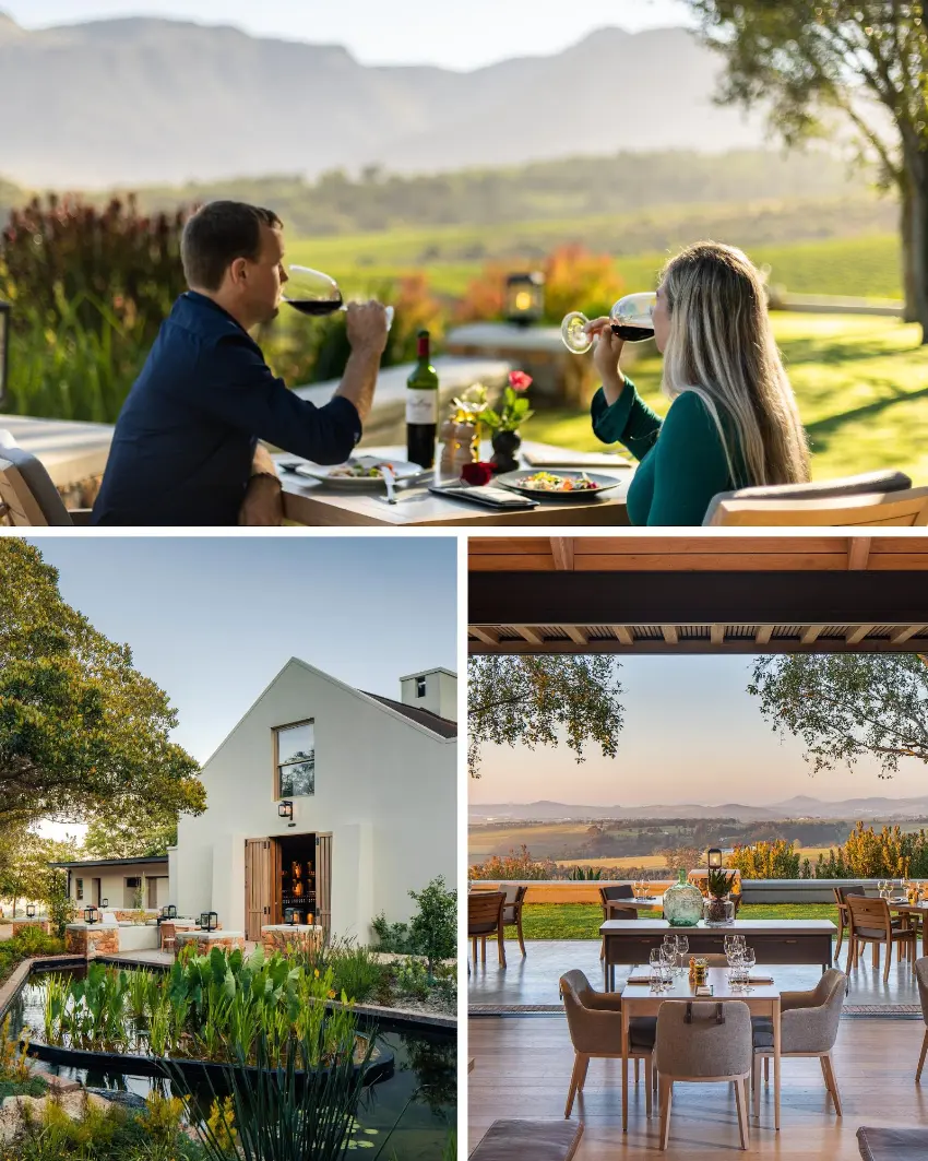 Wine Farm Restaurants Ernie Els