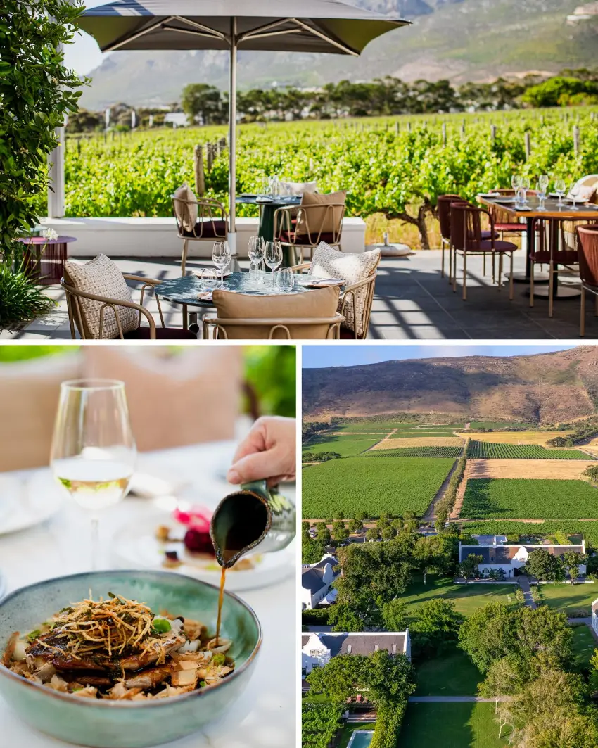 Wine Farm Restaurants Tryn Steenberg