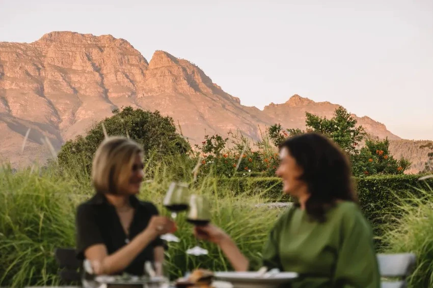 Wine Farm Restaurants Vine Bistro