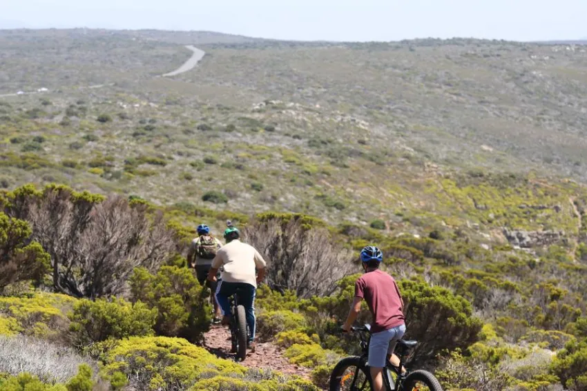 Cape Point E Biking