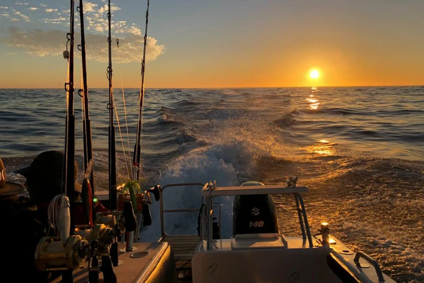 Cape Point Fishing