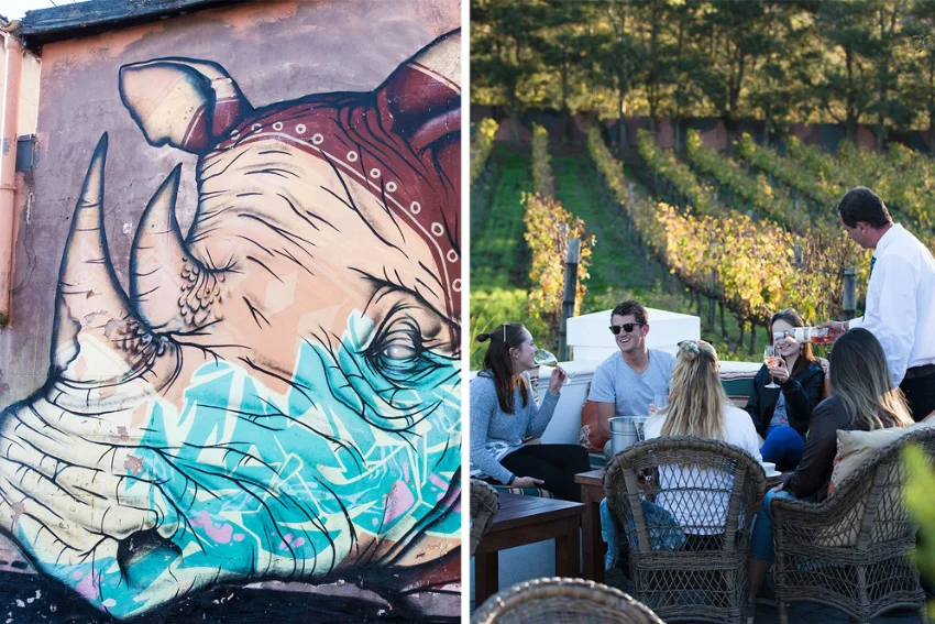 Kiff Kombi Tours Wine Tasting