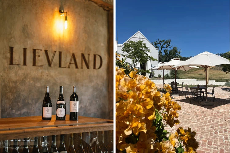 Lievland Cafe Wine Tasting