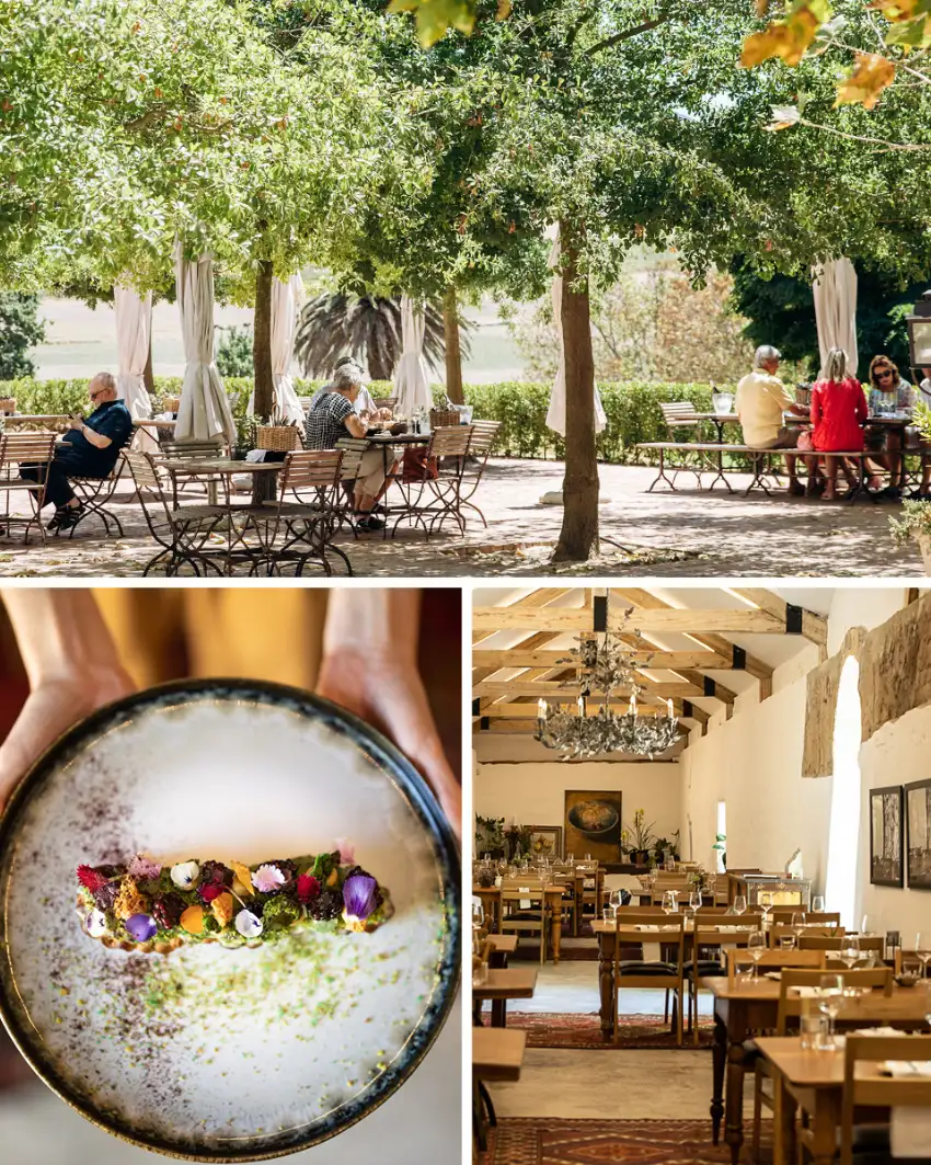 Harvest Tables Diemersdal Farm Eatery