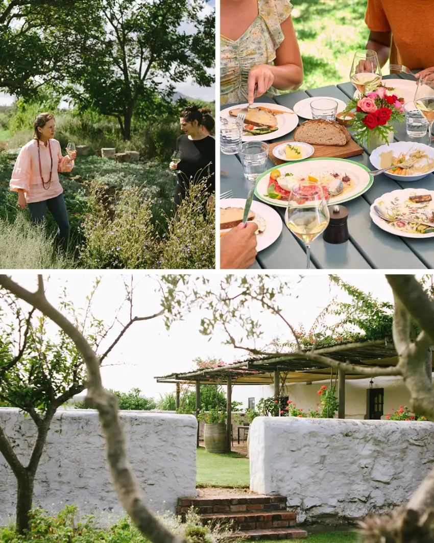 Harvest Tables The Kraal Joostenberg