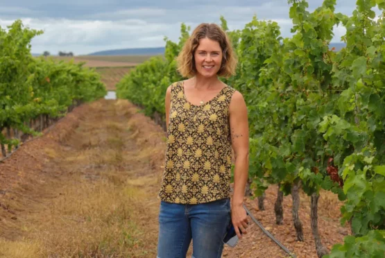 Trizanne Groendruif Semillon
