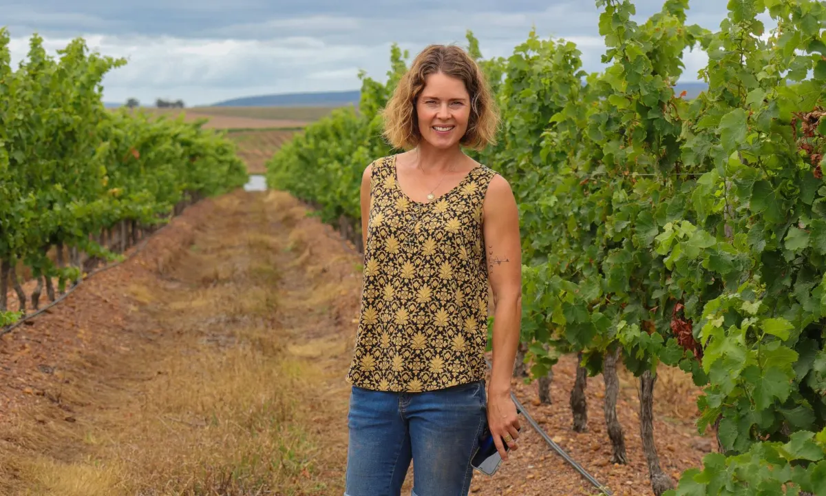 Trizanne Groendruif Semillon
