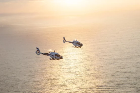 Robben Island Heli Tour
