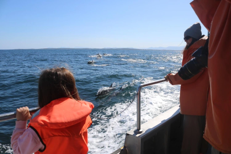 Stanford Road Trip Big 5 Marine Tour
