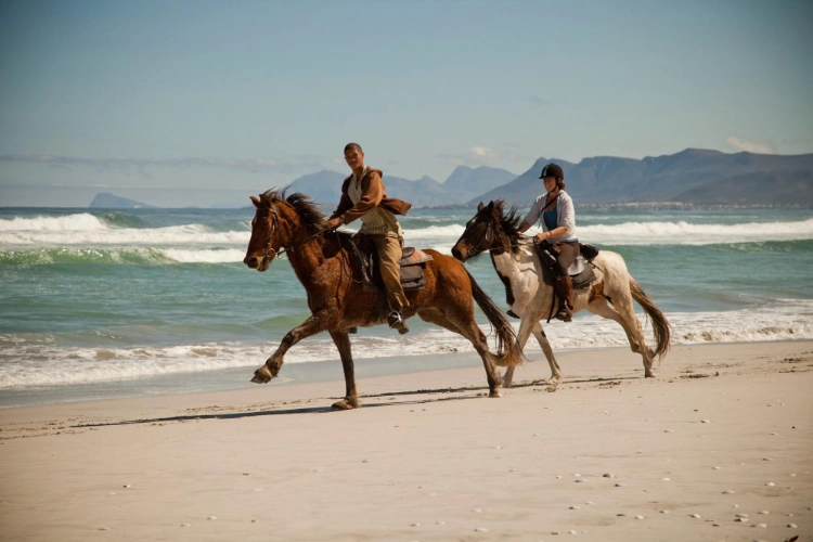 Stanford Road Trip Horse Riding