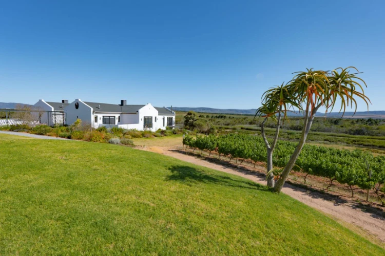 Stanford Road Trip Zoetendal Vineyards