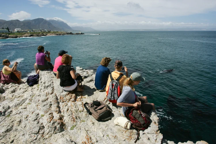 Caminos Hermanus