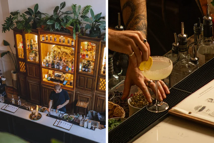 Cocktail Bars Gin Bar