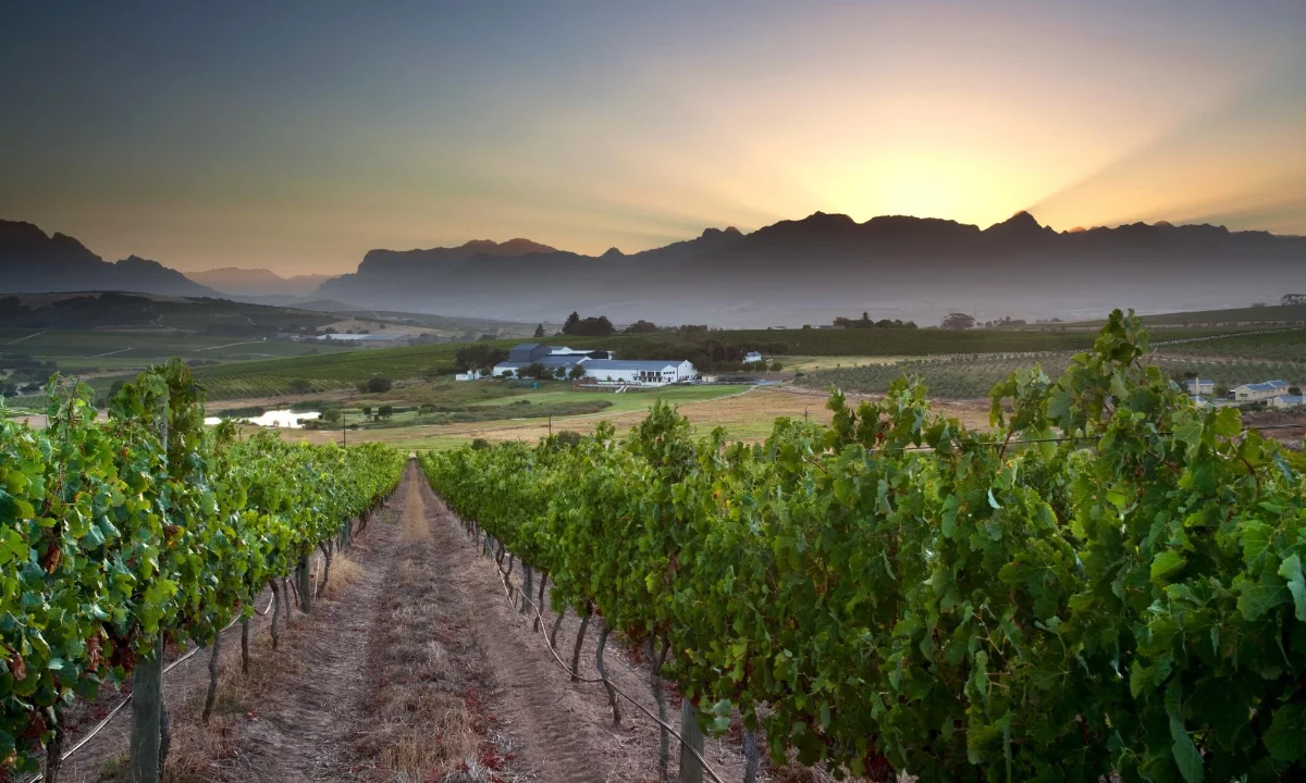 Mulderbosch Estate Blend