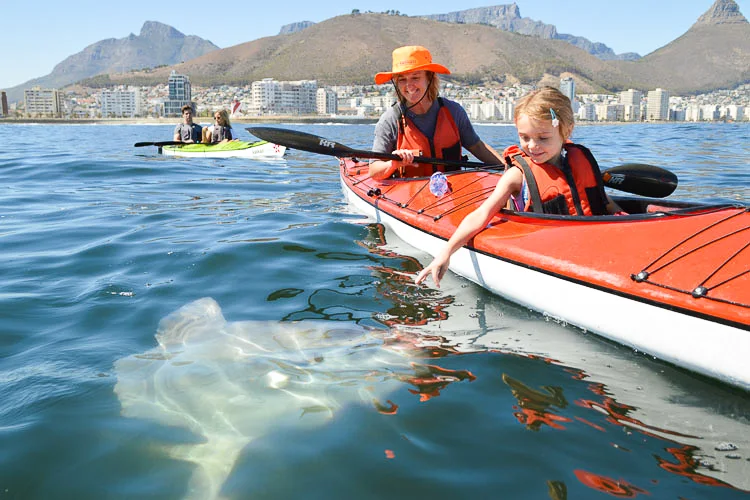 To Do Kids Kayak Sea Point