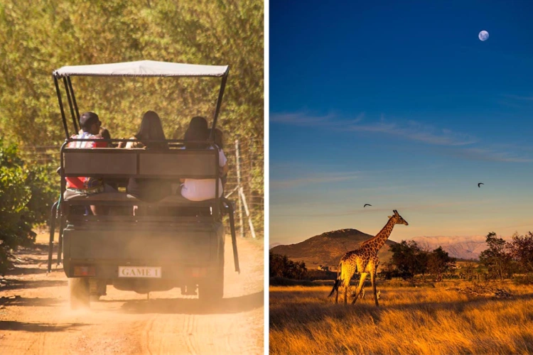 To Do Kids Villiera