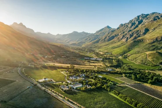Lanzerac Pinotage Rose 2023