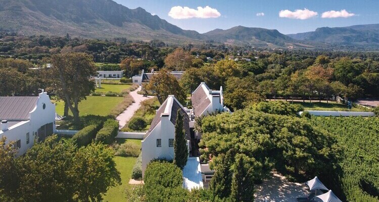 Steenberg Farm: Year-End Celebrations in Elegant Surrounds