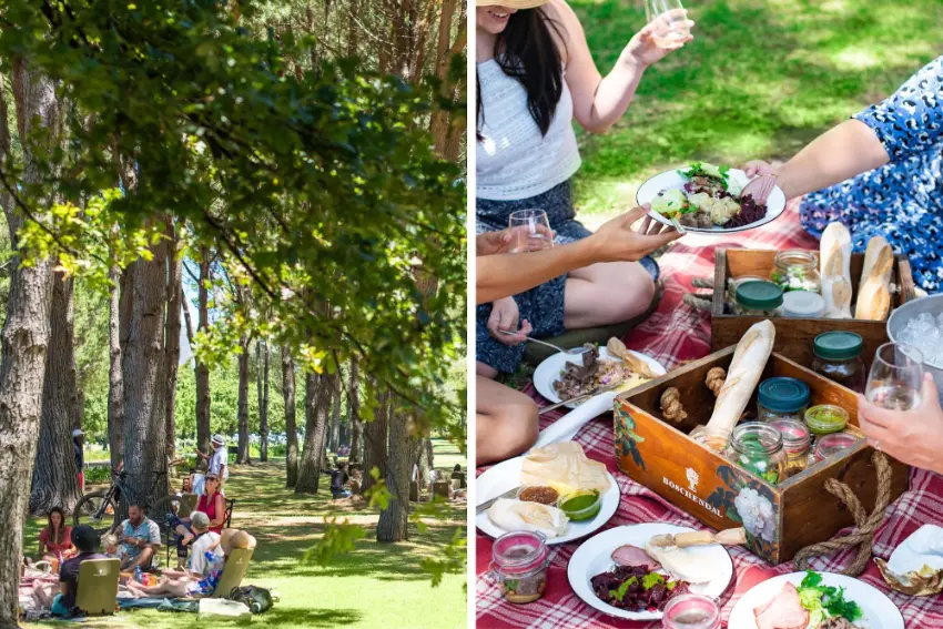 Picnic Spots Boschendal