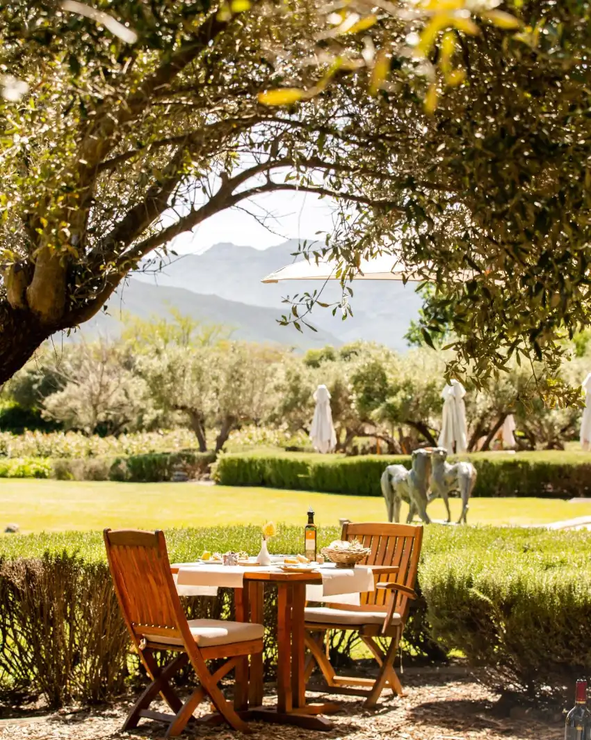Franschhoek Restaurants Terra Del Capo