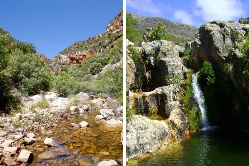 Dams Rivers Bainskloof