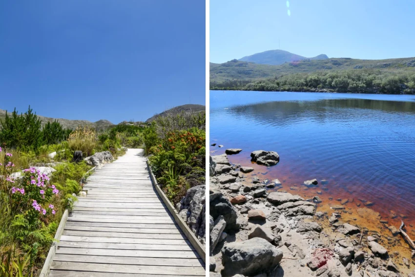Dams Rivers Silvermine