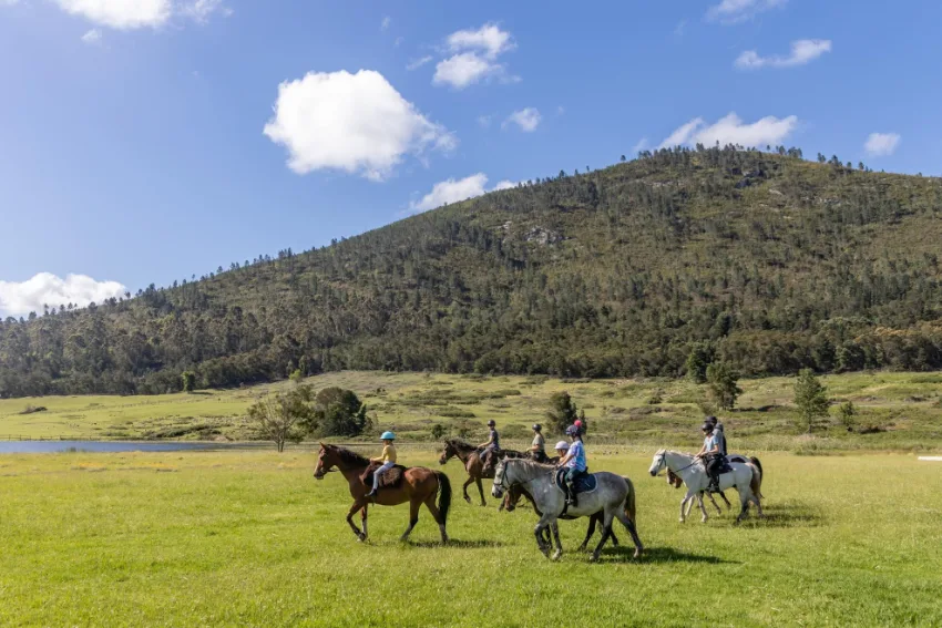 Garden Route Attractions The Crags