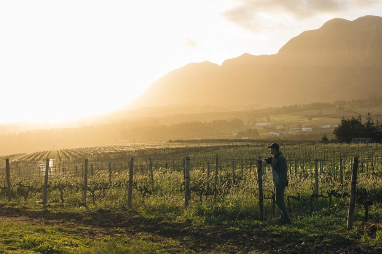 Restless River Vineyard