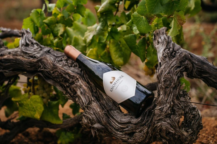 Knorhoek Chenin Blanc Awards