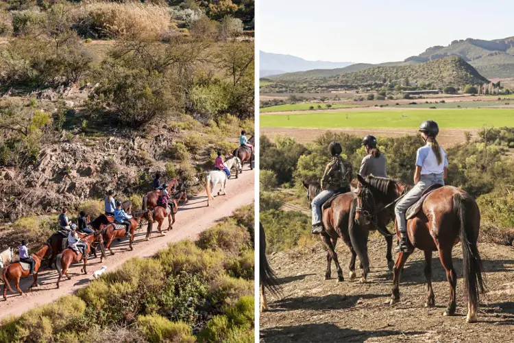Karoo To Do Horseback Adventure